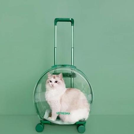 NEW Tas Transparan Kucing Anjing Trolley Cargo Travel Bag Cat Dog Koper
