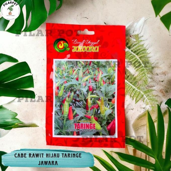 Benih Bibit Cabe Rawit Hijau Benih Unggul Jawara - CABE RAWIT TARINGE