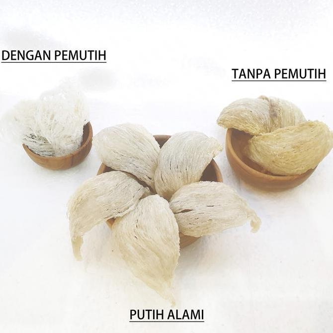 ~~~] SARANG BURUNG WALET Bird Nest [] - Grade Putih Alami