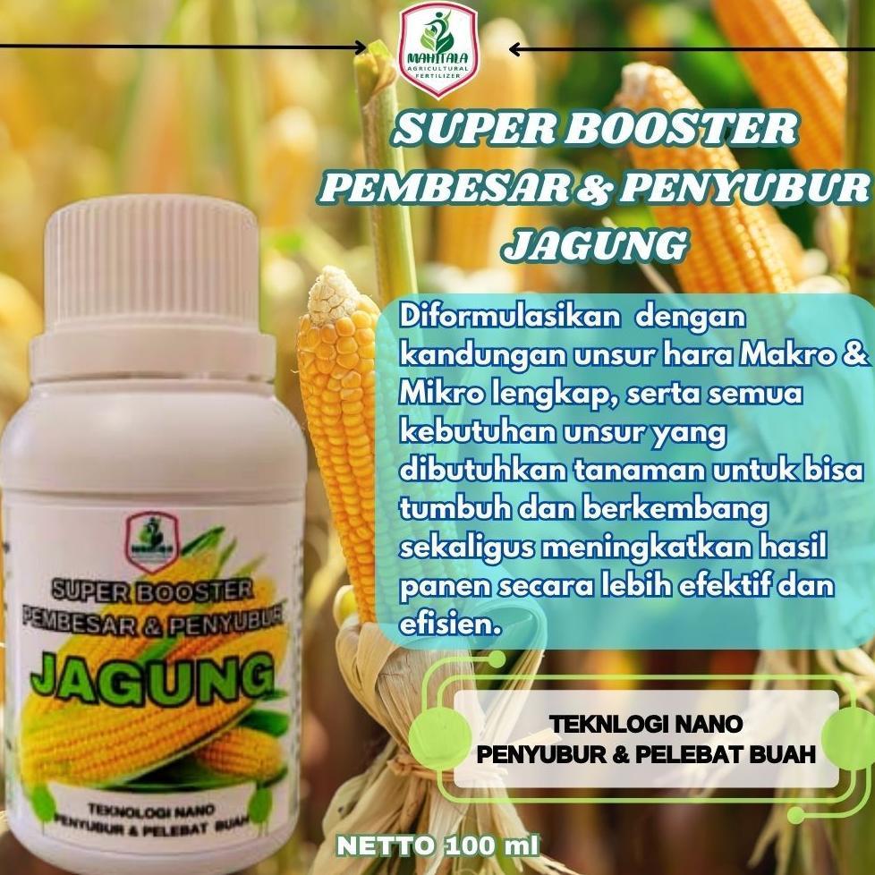 Promo Cod Pupuk Jagung Pembesar Buah Jagung Panen Lebih Banyak Pupuk Npk Cair Pembesar Buah Jagung Y