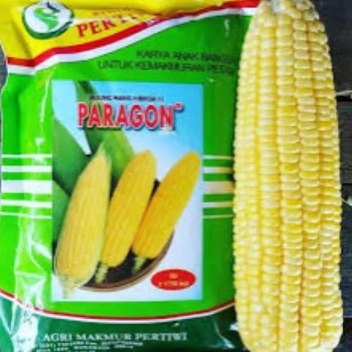 New- Benih / bibit Jagung manis Paragon