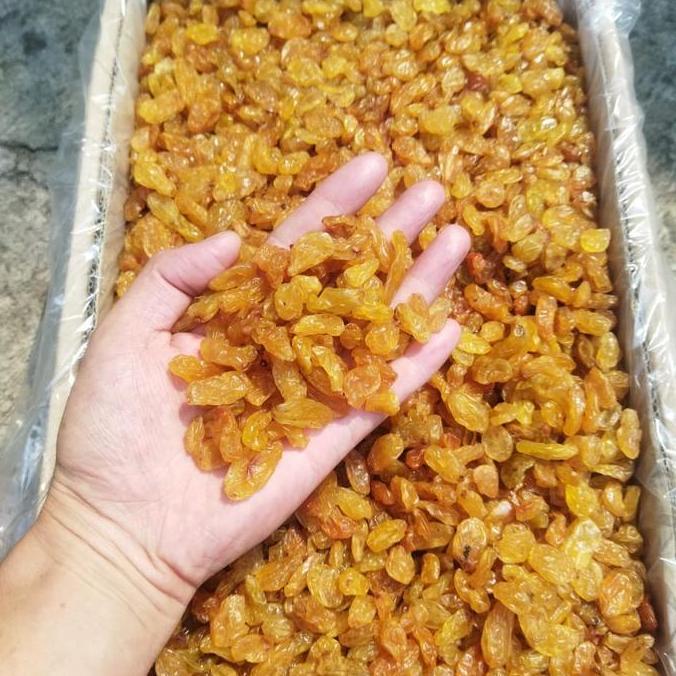 *:*:*:*:*] BIG , GOLDEN KING RAISINS / KISMIS ASAM MASNIS GOLDEN / 1 KG IMPORT
