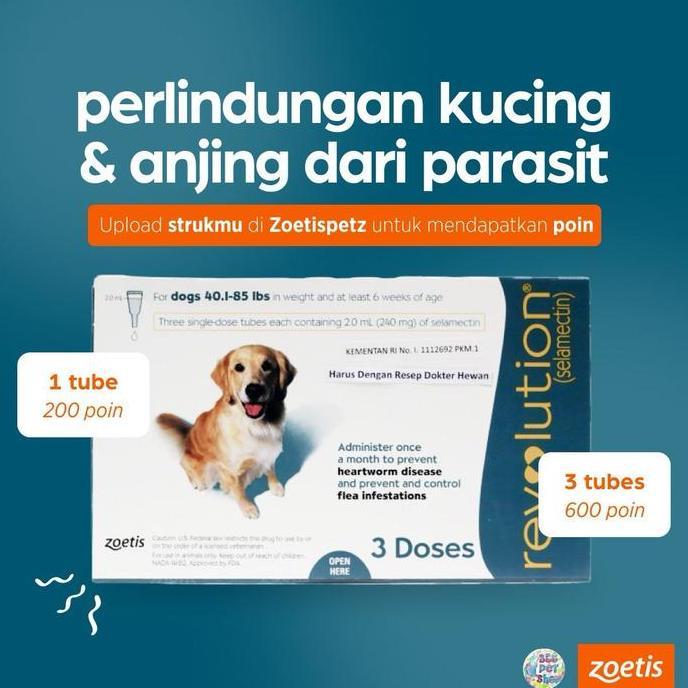 Promo Revolution Cat / Revolution Dog / Revolution Teal / Revolution Blue Cod