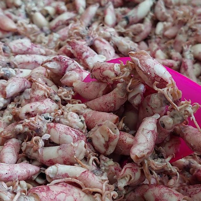 Cumi Baby Asin 1Kg/Baby Cumi Asin 1Kg