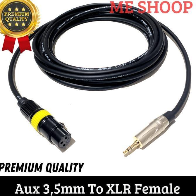 Mini jack audio aux 3.5 mm to Xlr female 3 pin 10m