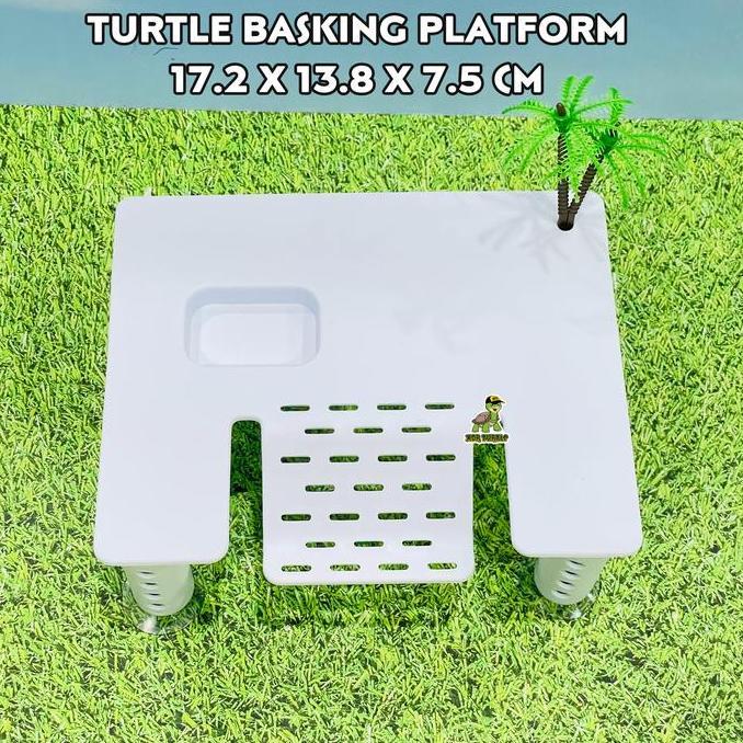 TURTLE BASKING PLATFORM NF-06 TANGKRINGAN KURA AIR RES ALBINO DAMER