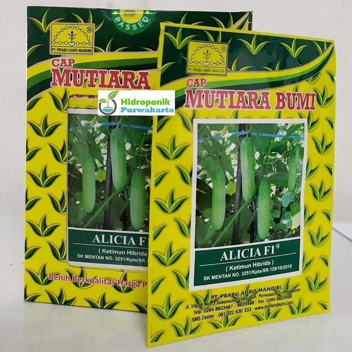 Benih Mentimun Timun Alicia F1 Hibrida Lalap Cap Mutiara Bumi Isi 20 Gram