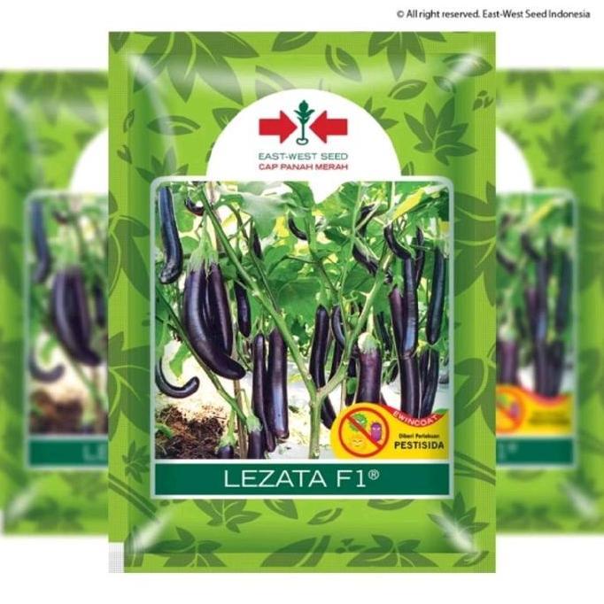 TERONG UNGU LEZATA F1 - ORIGINAL PANAH MERAH - BENIH UNGGUL HIBRIDA - Benih Tanaman Terong Ungu Panj