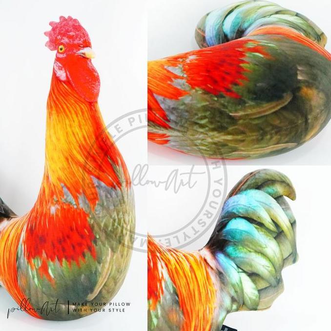 PillowArt Bantal Unik Karakter Ayam | Ayam Jago Betina Pelung Ukuran L - Koleksi Kado Lucu ART189 SA