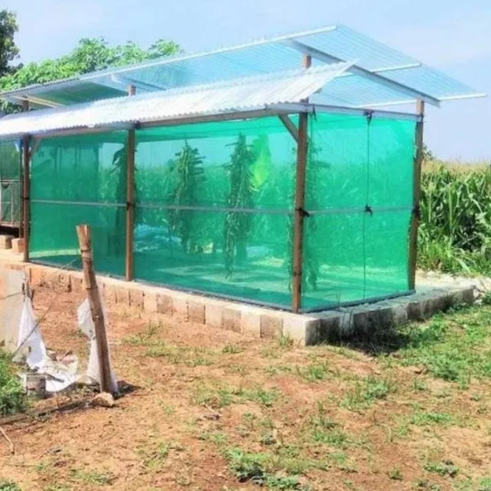 Bisa Cod Insect Net Hijau/Kassa Hijau Lebar 2 Meter Eceran ><