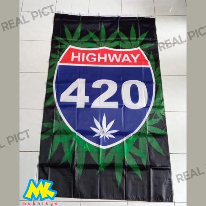 Hiasan Dinding Kamar Kost Daun Rasta