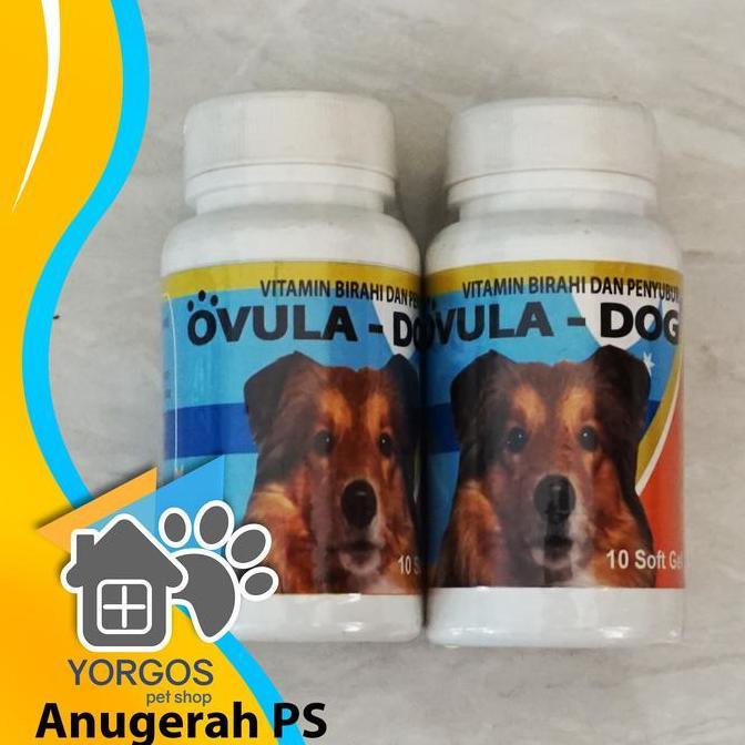 Ovula Dog Vitamin Birahi Anjing