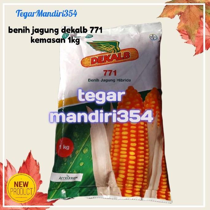 benih jagung hibrida dekalb 771 kemasan 1kg dekalb 771 1kg benih unggul