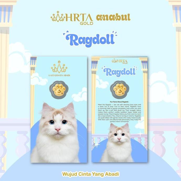 EMASKU Anabul 0.2 gr, Ragdoll Cat