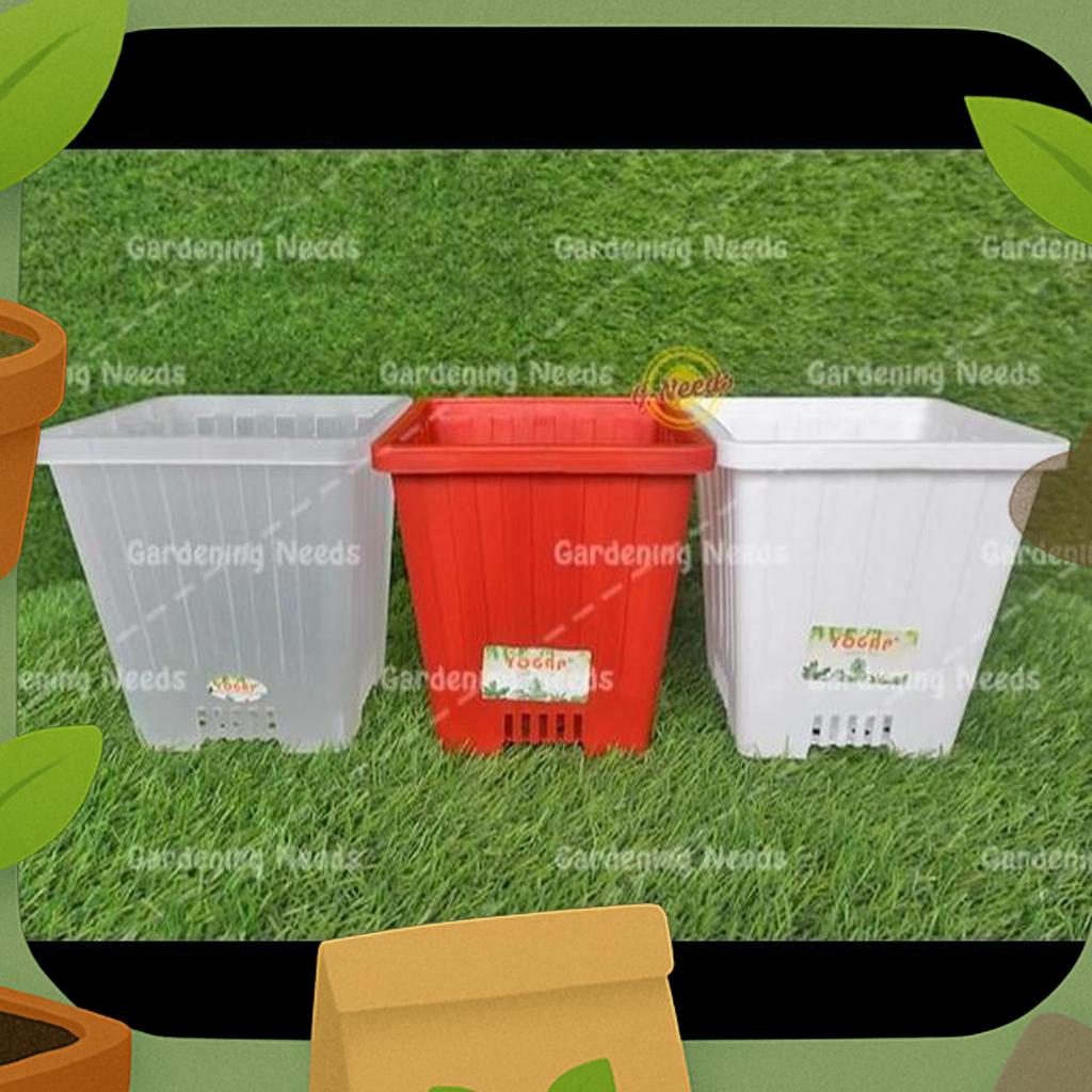 Pot Kaktus Tinggi Kotak Pot Bunga Yogap Kotak 22 Ypk 22