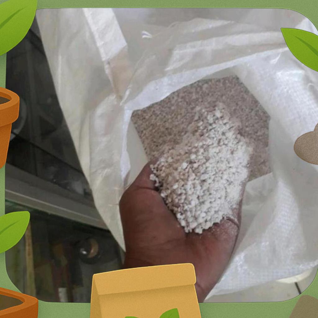 Perlite, Media Penetasan Telur, Ular, Gecko, Import, Inkubator