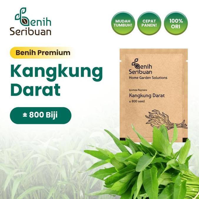 Benih Kangkung Darat Daun Lebar - Benih Sayuran Seribuan
