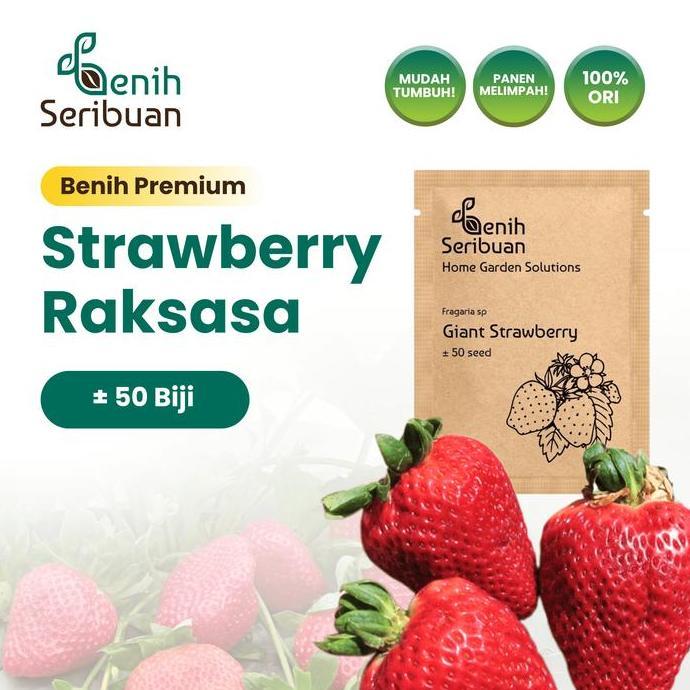 Benih Buah Strawberry Jumbo Premium - Benih Seribuan