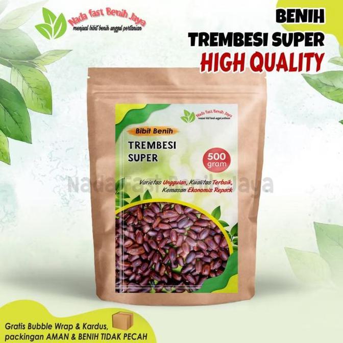 500 Gram Biji benih pohon trembesi super / bibit tanaman biji trembesi