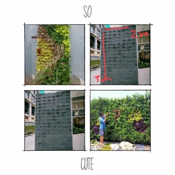 Karpet Vertikal Garden Kantong 36 Lubang Karpet Vetikal Garden