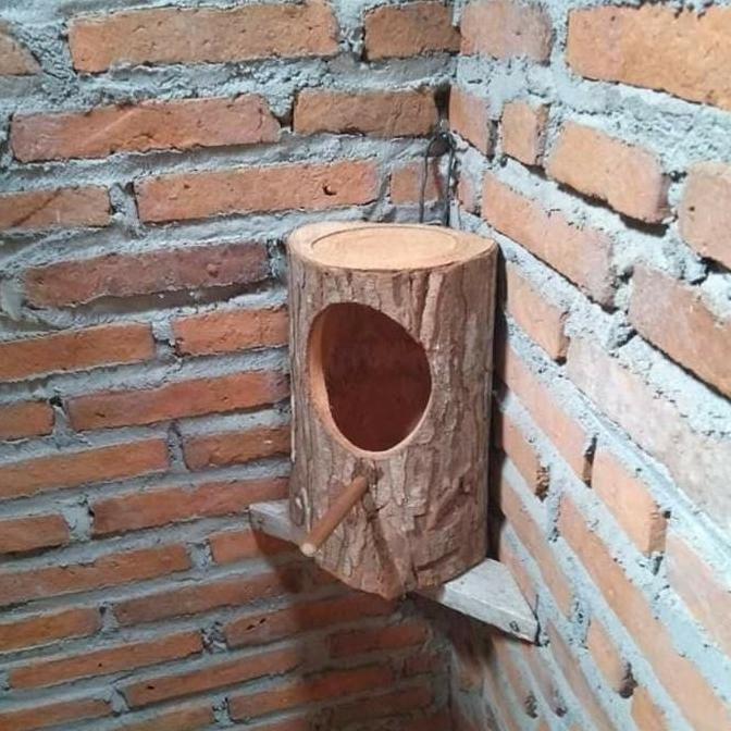 TERLARIS sarang burung murai batu , glodok murai batu READY STOCK