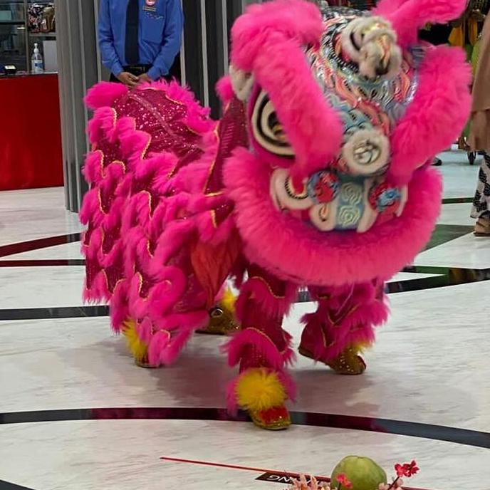 miniatur barongsai kostum