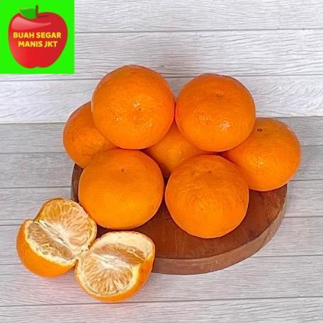 JERUK MANDARIN MURCOT JERUK WOKAM WOGAN PREMIUM