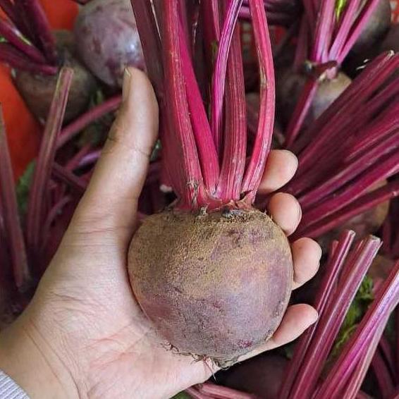 Fruxi- Buah Bit Segar / Beet Fresh / Beet Root/ Bit Merah