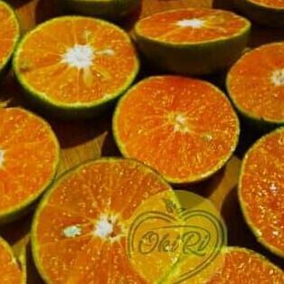 Fruxi- Jeruk Peras Pontianak | Yang Memiliki Rasa 80% Manis 20% Asam ( 5Kg )