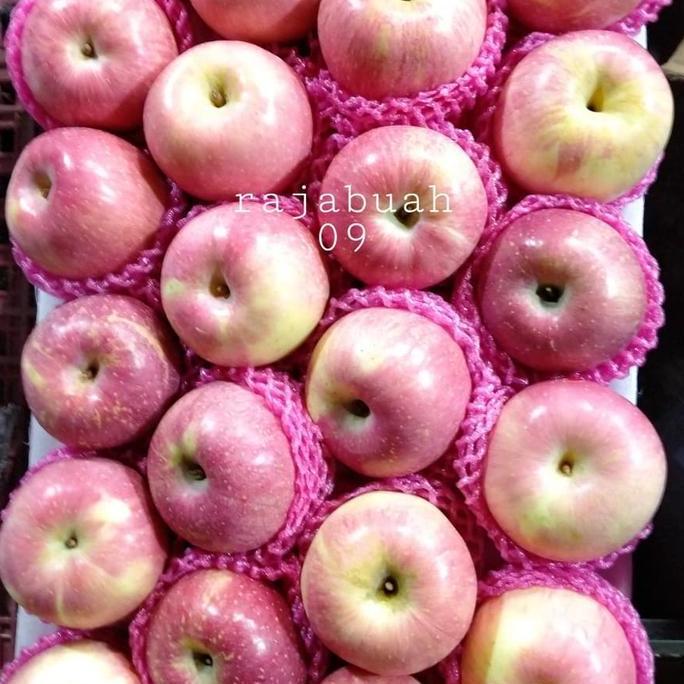 Fruxi- Buah Apel Fuji Fresh / Buah Apel Import 1 Kg