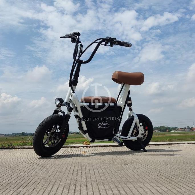 Terlaris Fiido Q1S Electric Scooter