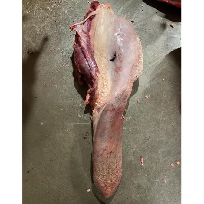 Lidah Sapi Lokal Frozen 1kg KHUSUS BANDUNG