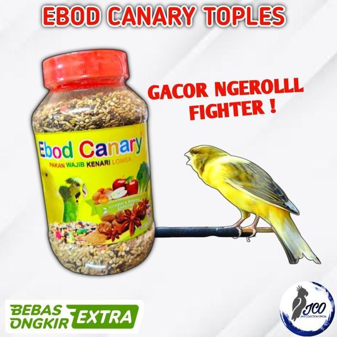 Britis- Pakan Makanan Lomba Burung Kenari Ebod Canary Toples Ebod Kenari Toples Gacor