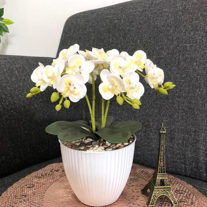 Dkrs- Anggrek Latek 4 Cabang Vas Kerang