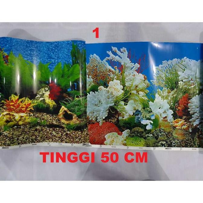 Background / Latar belakang aquarium Tinggi 50 cm panjang per 30 cm Promo