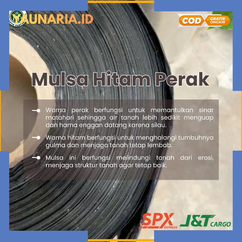 Mulsa Plastik Mulsa Hitam Perak 1 Roll 5 kg - Tebal Kuat Bagus Murah Elastis - RO30-1312 2025 Bisa C