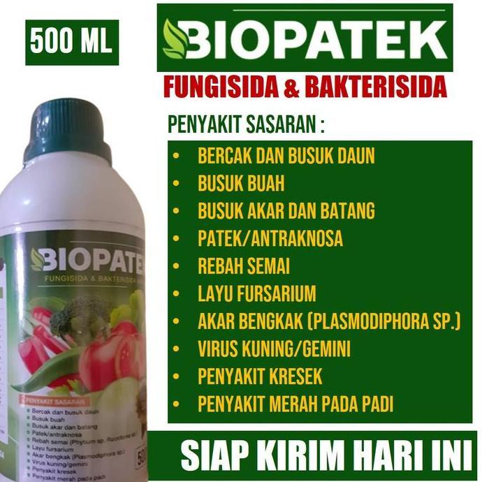 Plnt- 500Ml Biopatek Obat Bercak Daun Dan Busuk Buah, Busuk Akar Dan Batang, Patek/Antraknosa, Layu 