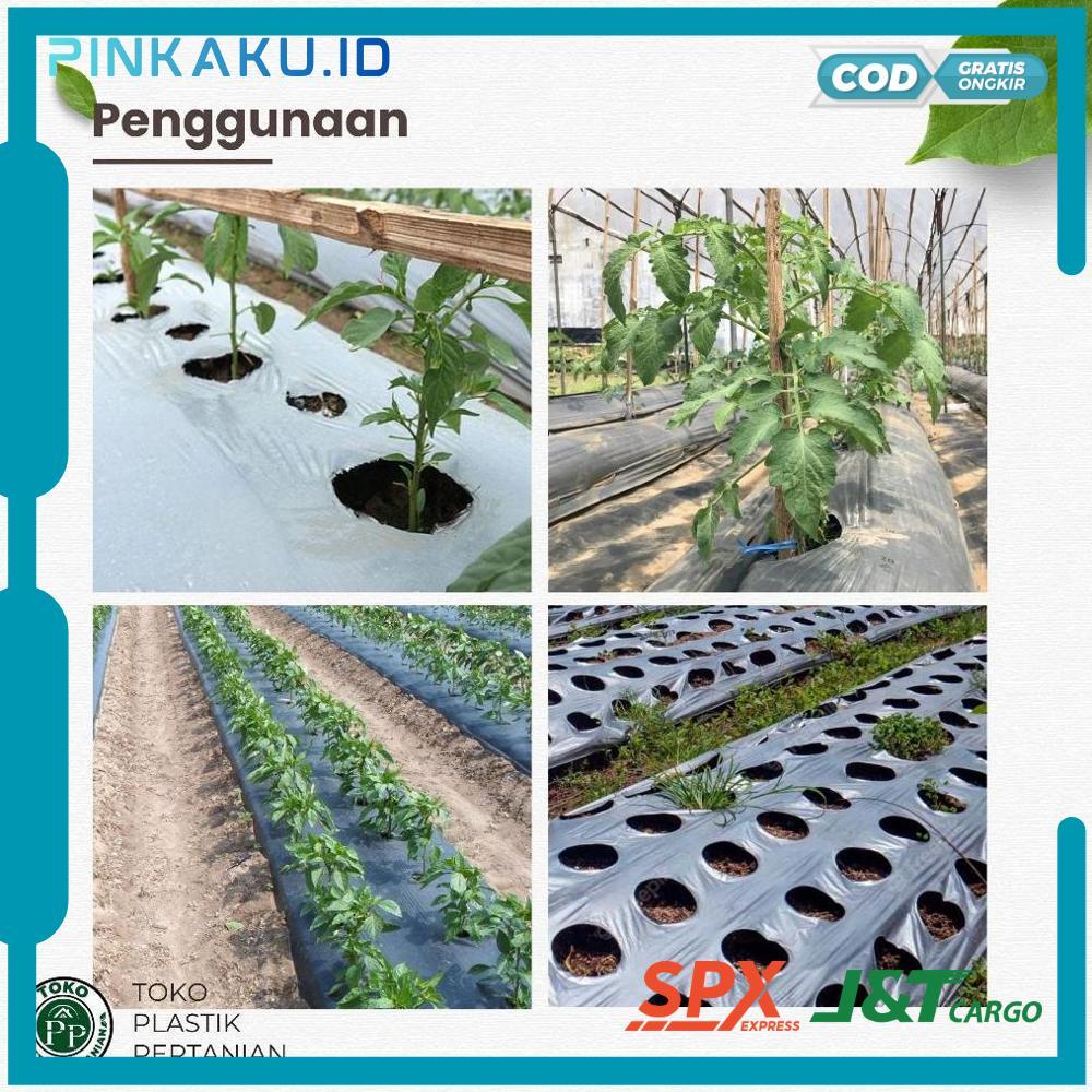 Mulsa Plastik Mulsa Hitam Perak 1 Roll 5 kg - Tebal Kuat Bagus Murah Elastis - RO30-1312 2025 Bisa C