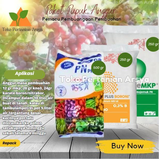 Paket Pupuk Anggur Kno3 Putih + Mkp + Boron