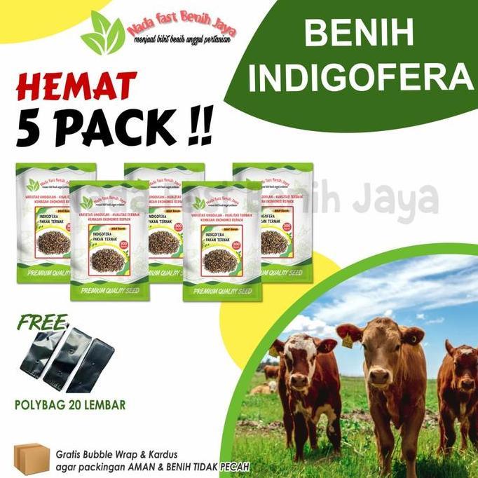 5 pack benih indigofera - bibit pakan ternak bibit indigofera / benih indigofera super daun