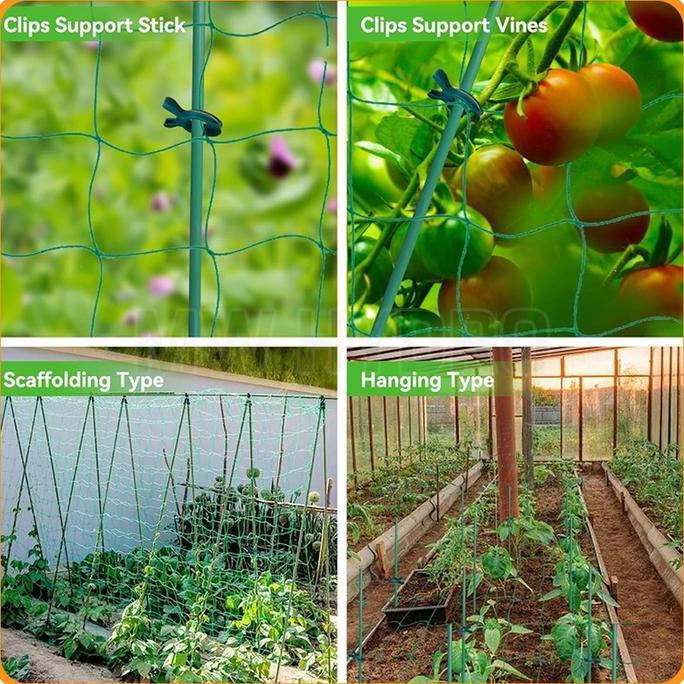 PLANT CLIMBING NET | JARING RAMBATAN TANAMAN