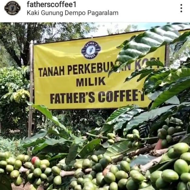 Ready Kopi Sangrai Robusta Jantan asli enak murah Nikmat grosir Promo 1 kg