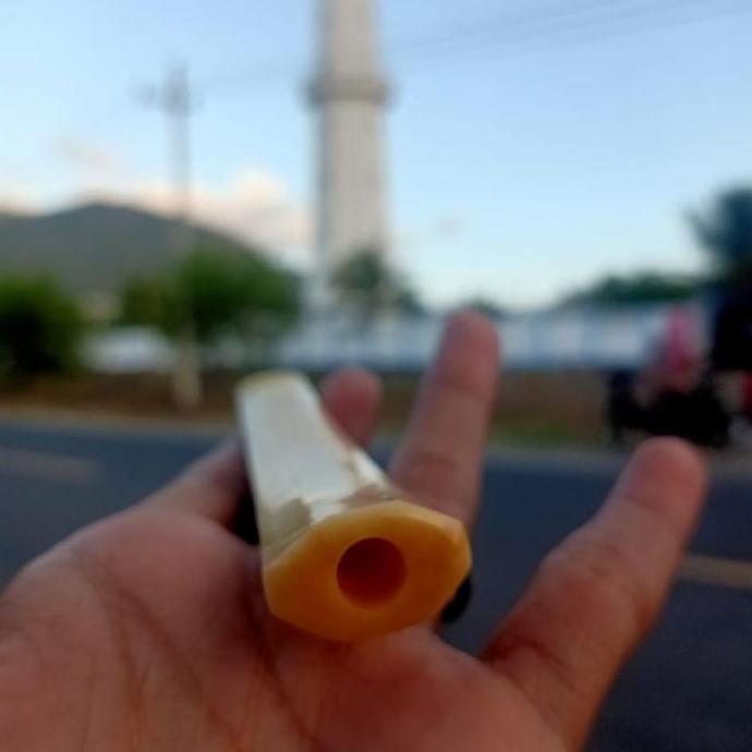 ASLI pipa once tulang iga duyung segi 10 cm READY STOCK