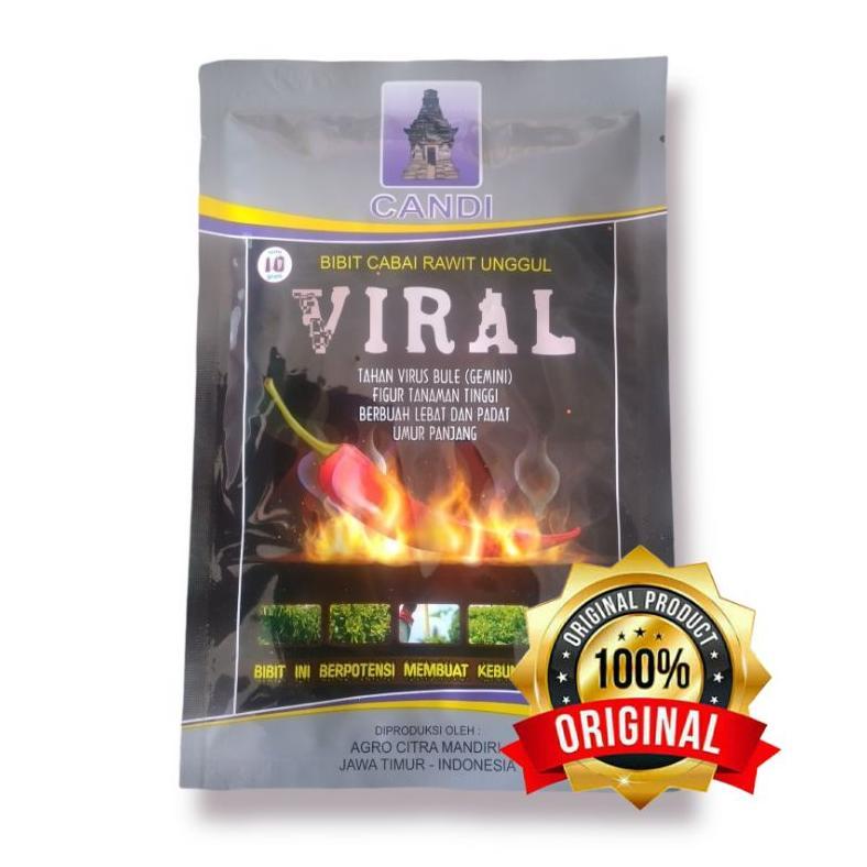 Benih Cabe Viral cabai viral 10 Gr ( jaminan asli )
