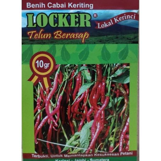 Bibit Cabe Merah Keriting Locker Unggulan Asli Jambi