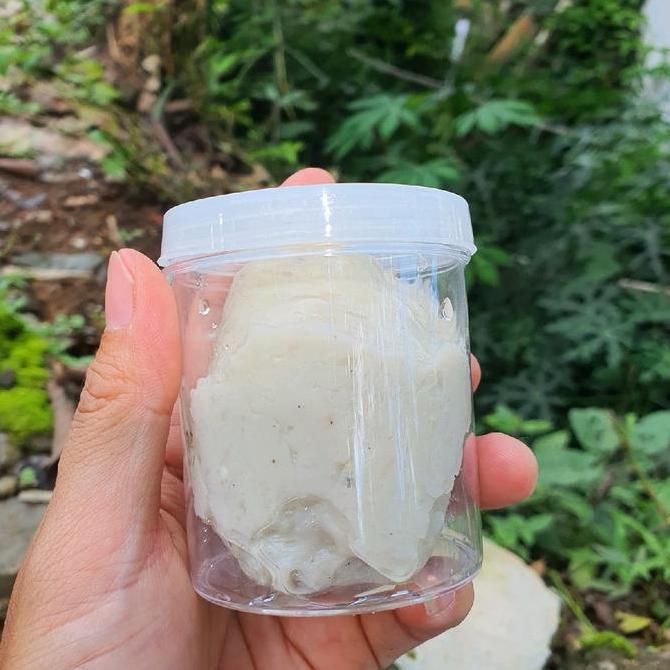 Brixd- Pulut Burung Super Lengket Putih Bersih 100Gram/1Ons Pulut Dl Original