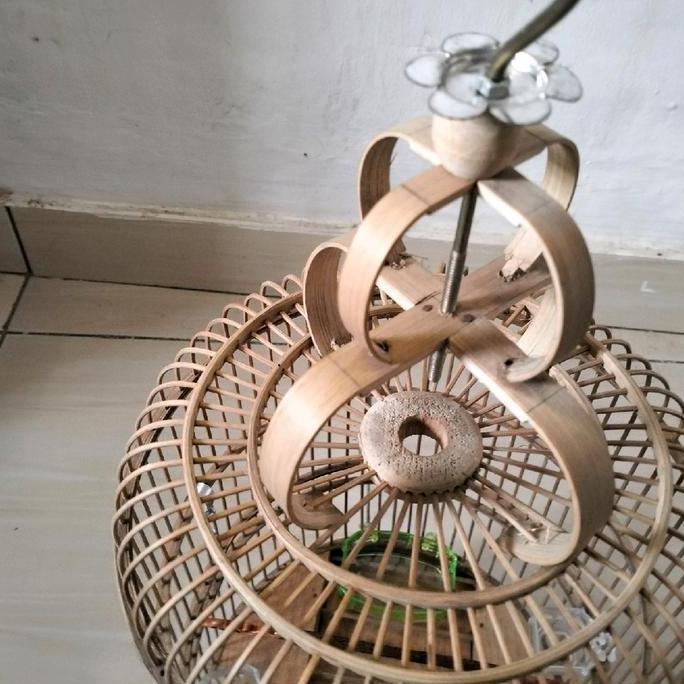 Brixd- Sangkar Burung Cungkok Pleci Full Bambu Siap Pake Bukan Ambrukan Diameter 24Cm