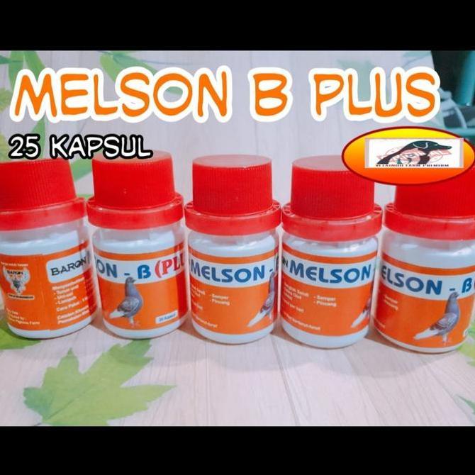 Brixd- Melson B Plus Baron Burung Sakit Merpati Turun Urat Semper Lumpuh