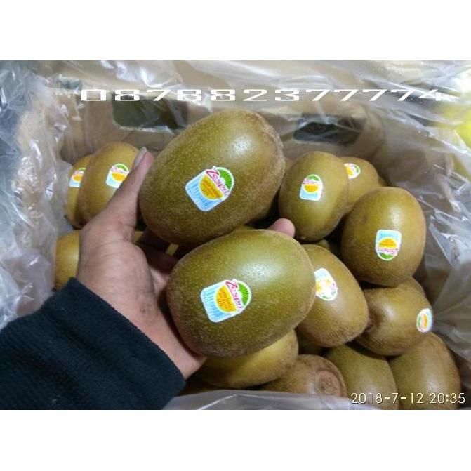 NEW BUAH KIWI GOLD ZESPRI MANIS 1KG BUAH KIWI GOLDEN SEGAR KIWI KUNING BEST