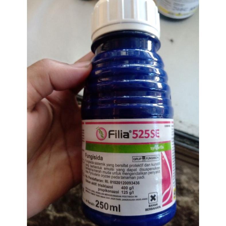 Filia 250ml fungisida sistemik